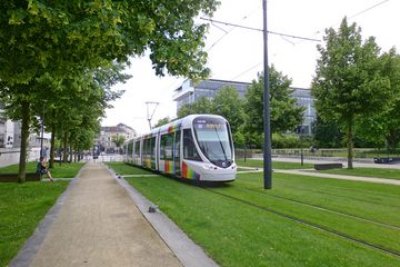 Baumreihe, Fußweg und Straßenbahn auf Rasengleis in Angers (Frankreich)