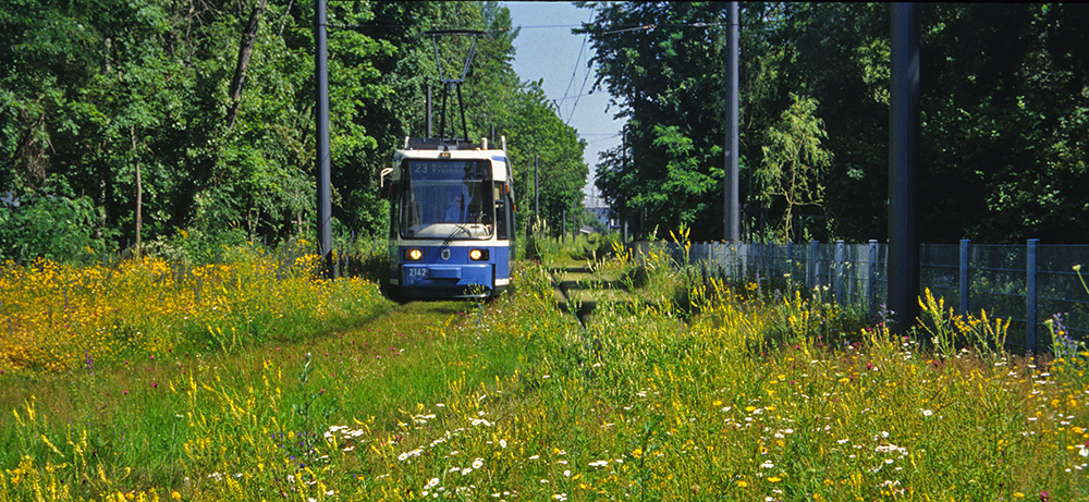 Straßenbahn auf Rasentrasse in München